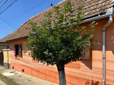 curte cu pom casa caramida vanzare Miercurea Sibiului Sibiu